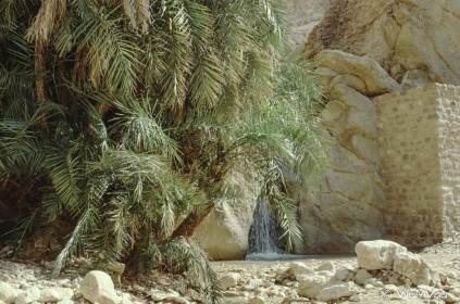 CyberViewX v5.16.55
Model Code=72
F/W Version=1.07