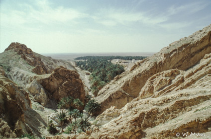 CyberViewX v5.16.55
Model Code=72
F/W Version=1.07