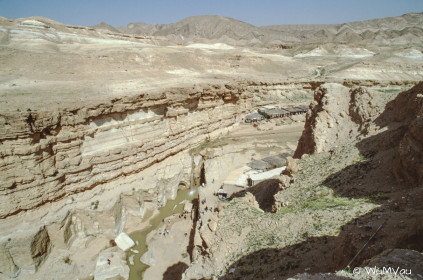 CyberViewX v5.16.55
Model Code=72
F/W Version=1.07