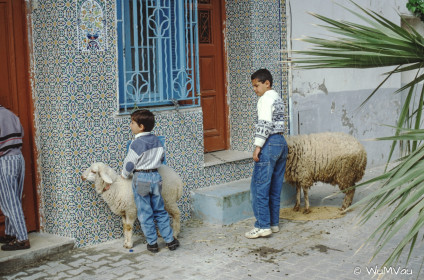 CyberViewX v5.16.55
Model Code=72
F/W Version=1.07