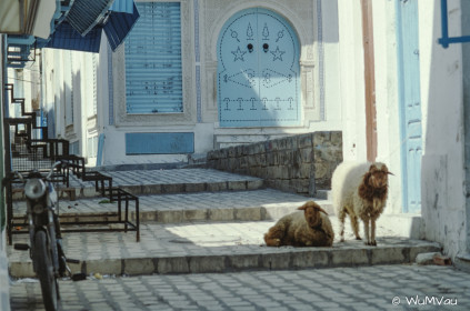 CyberViewX v5.16.55
Model Code=72
F/W Version=1.07