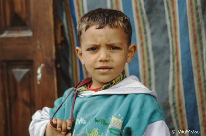 CyberViewX v5.16.55
Model Code=72
F/W Version=1.07