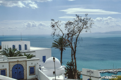 CyberViewX v5.16.55
Model Code=72
F/W Version=1.07