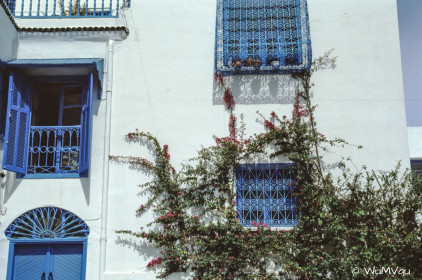 CyberViewX v5.16.55
Model Code=72
F/W Version=1.07