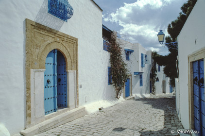 CyberViewX v5.16.55
Model Code=72
F/W Version=1.07