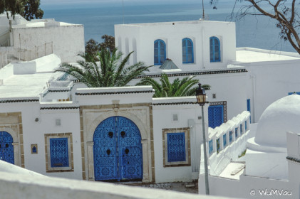 CyberViewX v5.16.55
Model Code=72
F/W Version=1.07