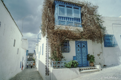 CyberViewX v5.16.55
Model Code=72
F/W Version=1.07