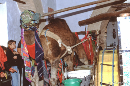 CyberViewX v5.16.55
Model Code=72
F/W Version=1.07