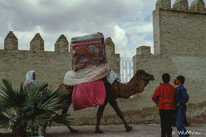 CyberViewX v5.16.55
Model Code=72
F/W Version=1.07