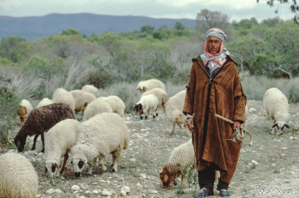 CyberViewX v5.16.55
Model Code=72
F/W Version=1.07