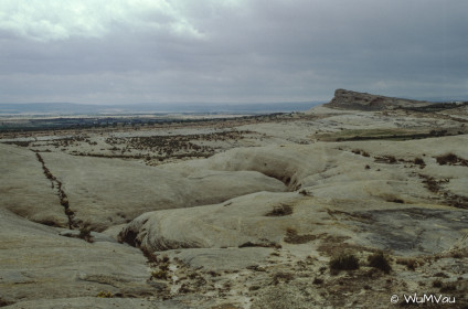 CyberViewX v5.16.55
Model Code=72
F/W Version=1.07