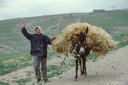 CyberViewX v5.16.55
Model Code=72
F/W Version=1.07