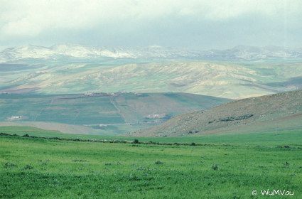 CyberViewX v5.16.55
Model Code=72
F/W Version=1.07