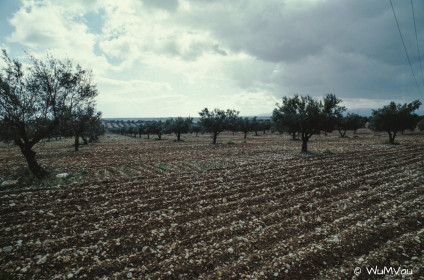 CyberViewX v5.16.55
Model Code=72
F/W Version=1.07