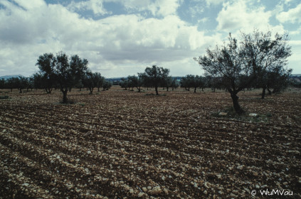 CyberViewX v5.16.55
Model Code=72
F/W Version=1.07