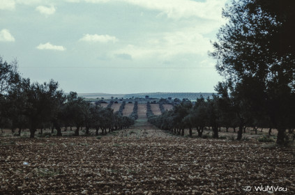 CyberViewX v5.16.55
Model Code=72
F/W Version=1.07