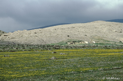 CyberViewX v5.16.55
Model Code=72
F/W Version=1.07