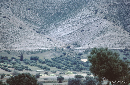 CyberViewX v5.16.55
Model Code=72
F/W Version=1.07