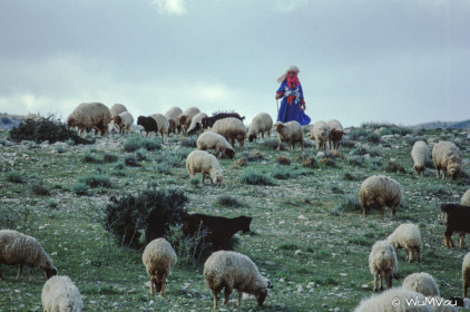 CyberViewX v5.16.55
Model Code=72
F/W Version=1.07