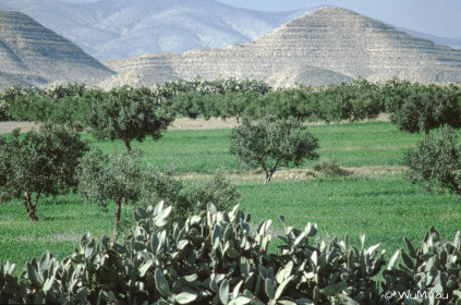 CyberViewX v5.16.55
Model Code=72
F/W Version=1.07