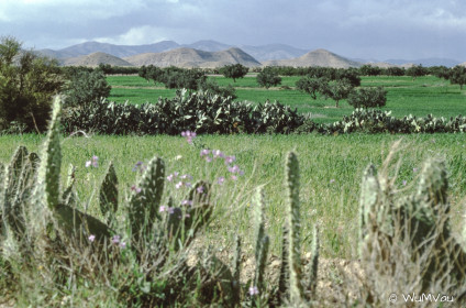 CyberViewX v5.16.55
Model Code=72
F/W Version=1.07