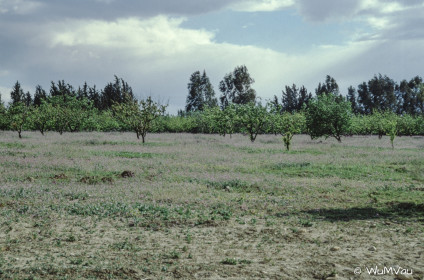 CyberViewX v5.16.55
Model Code=72
F/W Version=1.07