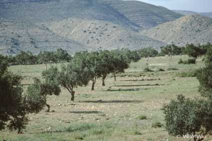 CyberViewX v5.16.55
Model Code=72
F/W Version=1.07