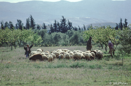 CyberViewX v5.16.55
Model Code=72
F/W Version=1.07