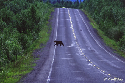 009-Canada-Alaska-British_Columbia