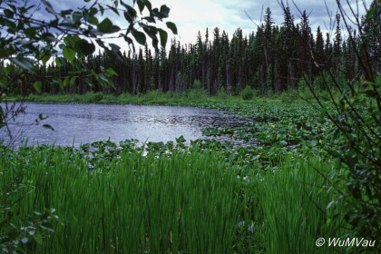 011-Canada-Alaska-British_Columbia