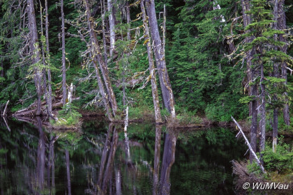 020-Canada-Alaska-Alaska-Hyder_Umgebung