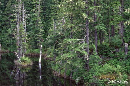 021-Canada-Alaska-Alaska-Hyder_Umgebung