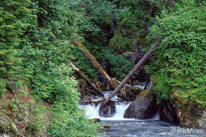 022-Canada-Alaska-Alaska-Hyder_Umgebung