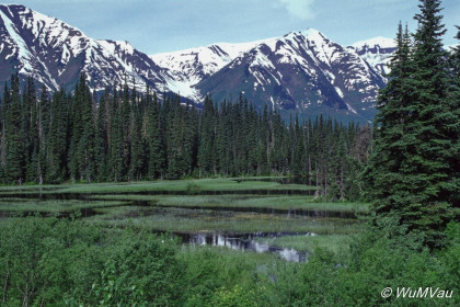 023-Canada-Alaska-Alaska-Hyder_Umgebung