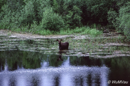 025-Canada-Alaska-British_Columbia