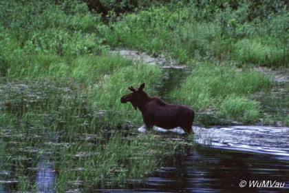 026-Canada-Alaska-British_Columbia