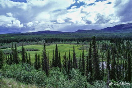 028-Canada-Alaska-British_Columbia