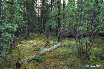 030-Canada-Alaska-British_Columbia