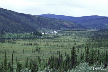 068-Canada-Alaska-Steese_Hwy