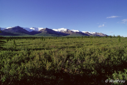 074-Canada-Alaska-Denali_NP