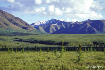 075-Canada-Alaska-Denali_NP