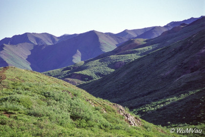 079-Canada-Alaska-Denali_NP