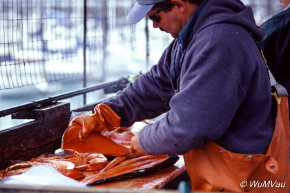 088-Canada-Alaska-Kenai_Halbinsel