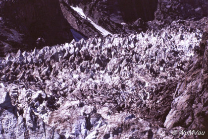 099-Canada-Alaska-Kenai_Halbinsel