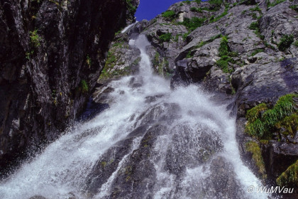 100-Canada-Alaska-Kenai_Halbinsel