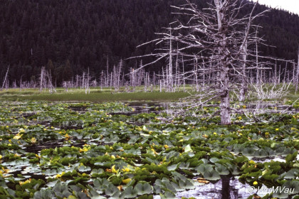 106-Canada-Alaska-Alaska_Hwy