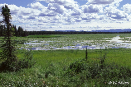 113-Canada-Alaska-Alaska_Hwy