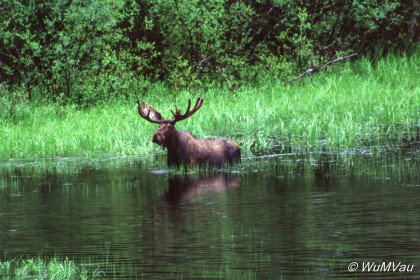 125-Canada-Alaska-Yukon_Territory