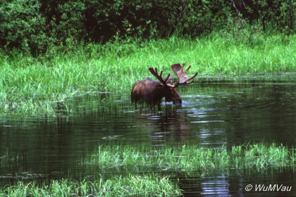 126-Canada-Alaska-Yukon_Territory