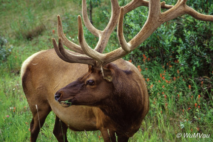 135-Canada-Alaska-Banff_NP